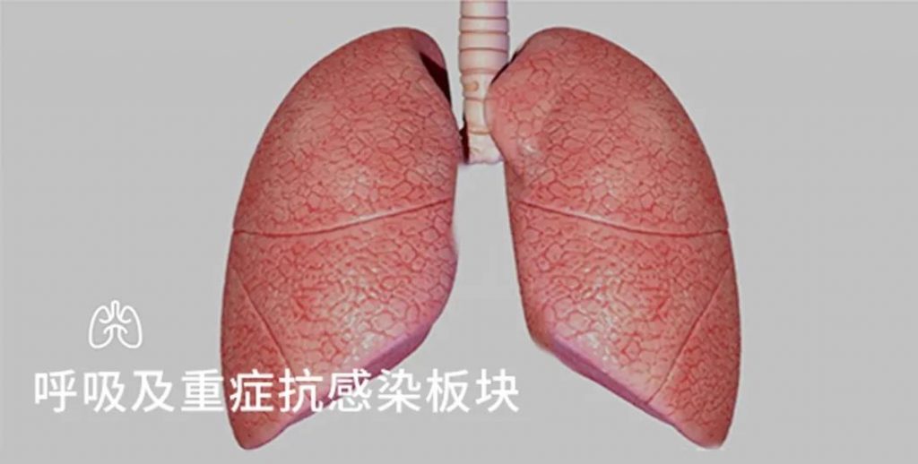 首页- 腾博官网诚信为本,专业服务!